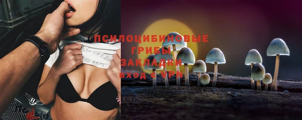 apvp Богданович