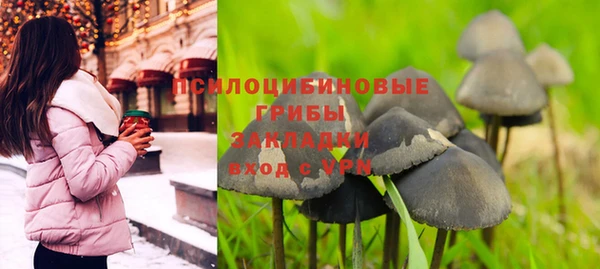 apvp Богданович