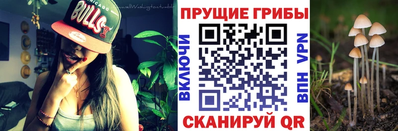 Псилоцибиновые грибы мухоморы  Купить закладки  Ардон 